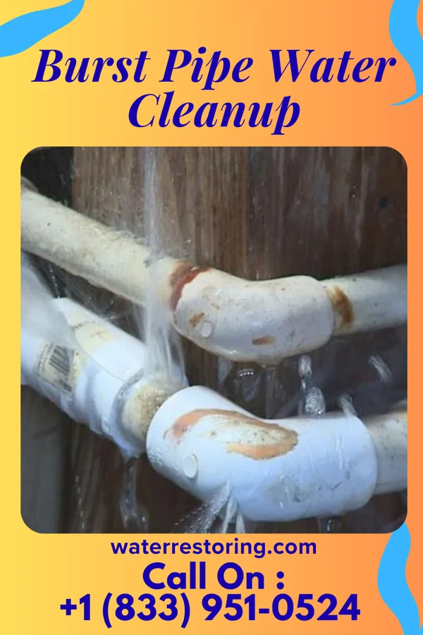 Burst Pipe Water Cleanup in Big Falls, MN