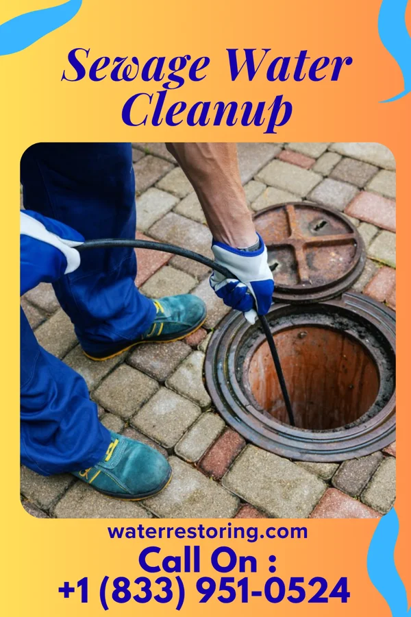 Sewage Water Cleanup in Big Falls, MN